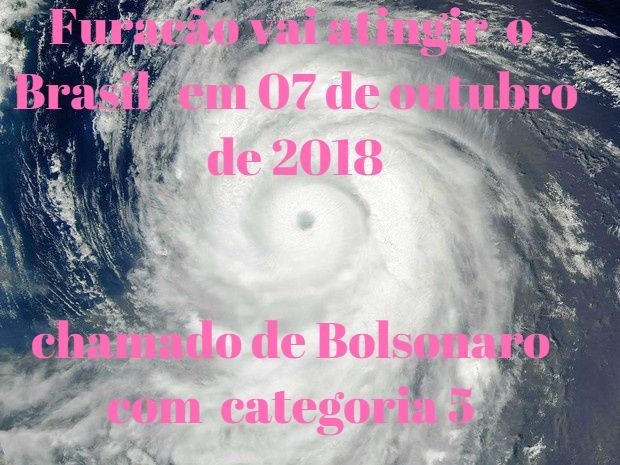 eleições do furacão
